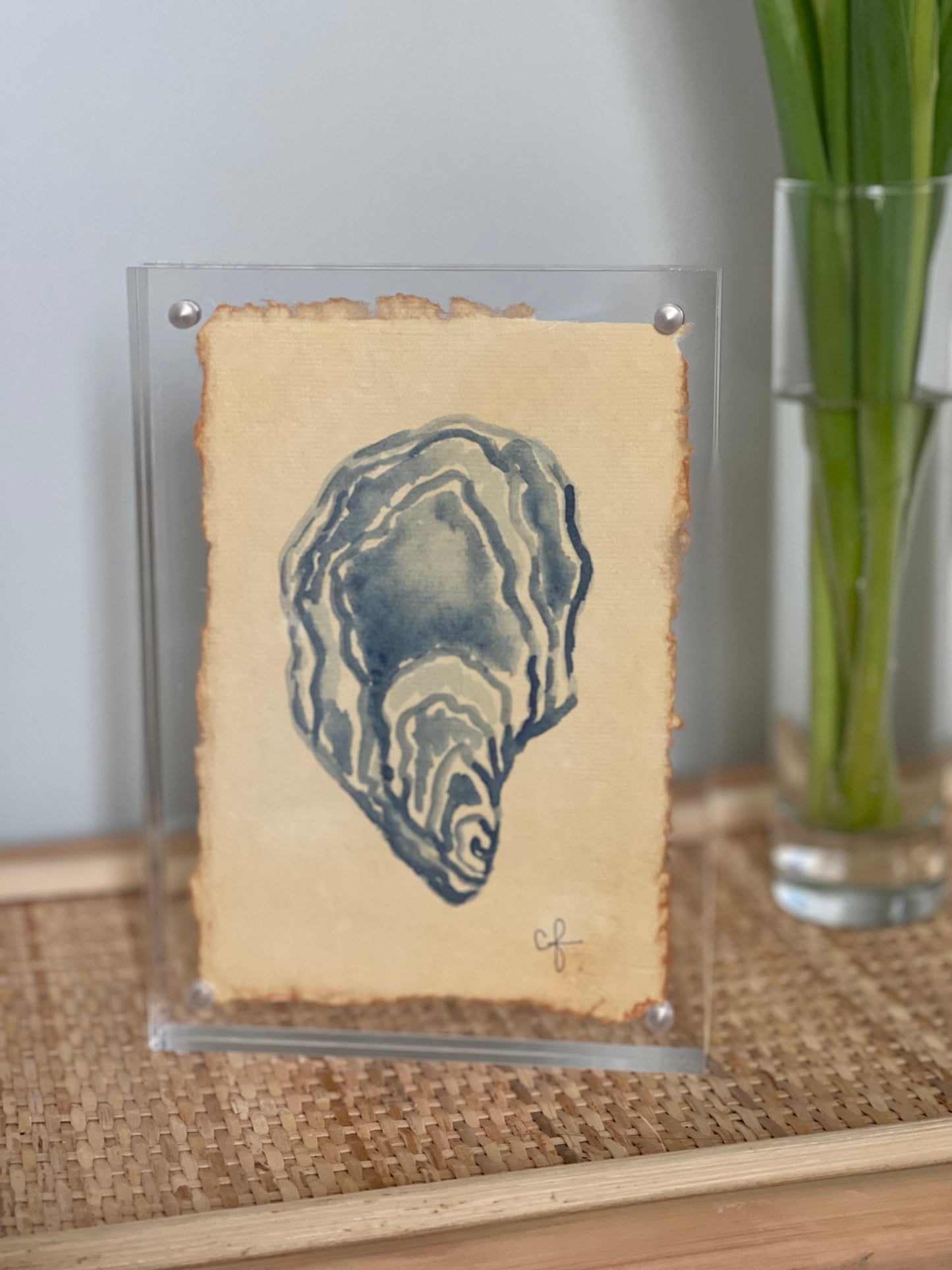 5x7 Indigo watercolor oyster